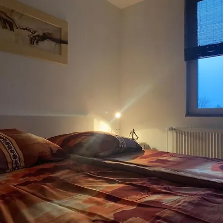 Apartment Traumen Und Entspannen In Der Schifferstadt *